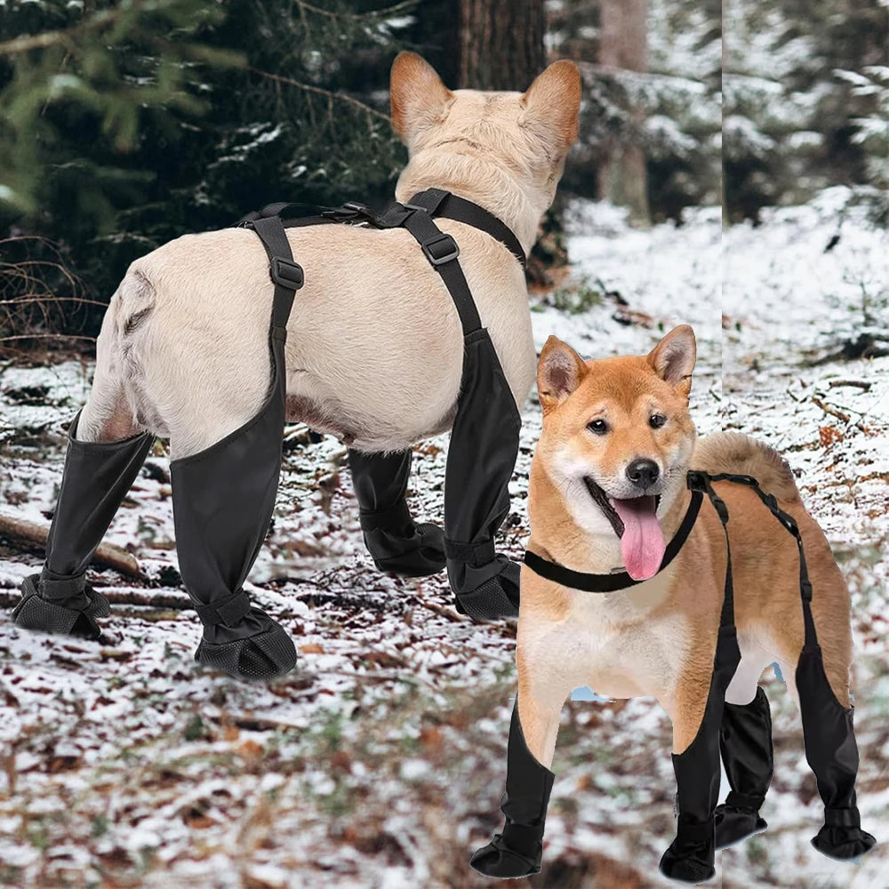 2025 Anti-Slip Dog Shoes | Waterproof Paw Protector Boots with Suspenders – Outdoor, Dirty-Proof & Comfortable Fit