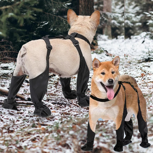 2025 Anti-Slip Dog Shoes | Waterproof Paw Protector Boots with Suspenders – Outdoor, Dirty-Proof & Comfortable Fit