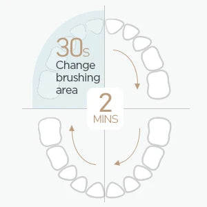 Fairywill FW-507 Electric Sonic Toothbrush | USB Rechargeable Waterproof Toothbrush with Replacement Heads for Adults