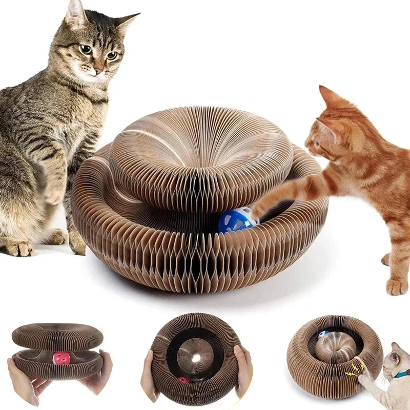 Magic Organ Cat Scratcher | Round Corrugated Scratch Board for Cats – Claw Grinding & Interactive Cat Toy