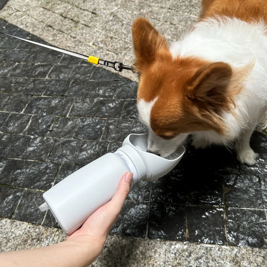 Portable Dog Water Bottle | Outdoor Travel Pet Drinking Cup with Leak-Proof & Collapsible Design