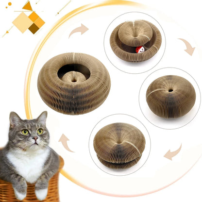 Magic Organ Cat Scratcher | Round Corrugated Scratch Board for Cats – Claw Grinding & Interactive Cat Toy