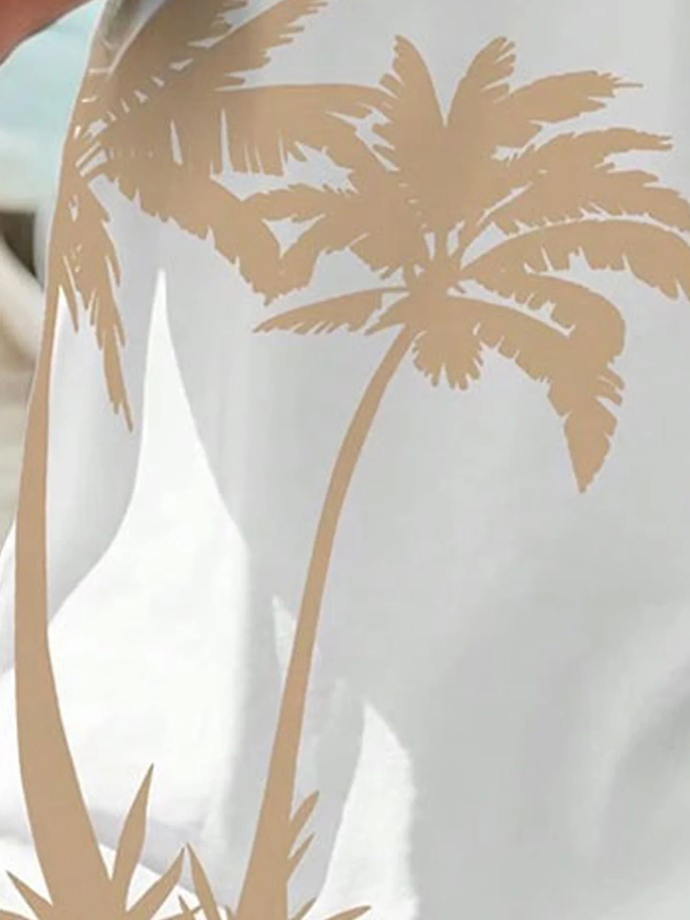 Summer 2025 new men's casual T-shirt and shorts set, new sportswear 2-piece set, 3D printed fashionable Hawaiian-style street we